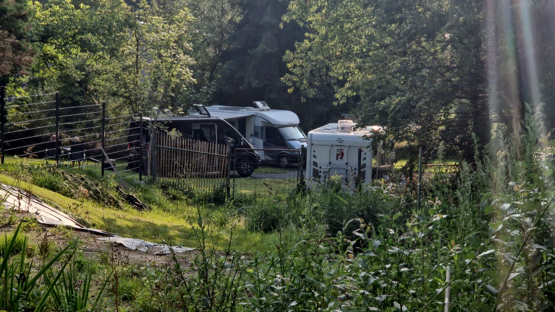 Wohnmobile zwischen Bäumen